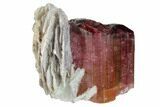 Bi-Colored Elbaite Tourmaline with Mica - Siberia #175651-3